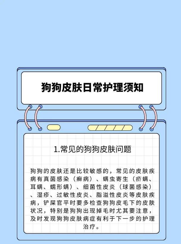 养护新到家的小狗，快乐成长（以宠物为主，细节为重）
