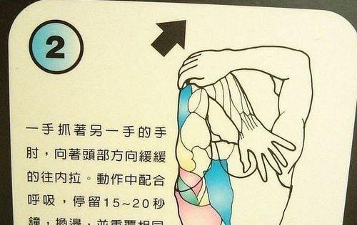 让你的金毛大小便不再困扰你