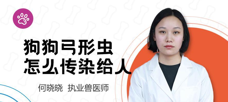 宠物与弓形虫——预防疾病从爱护开始（如何避免宠物感染弓形虫？）