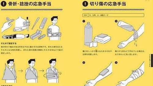 拉布拉多如何剪毛（宠物主人必看，让你的拉布拉多美美哒）