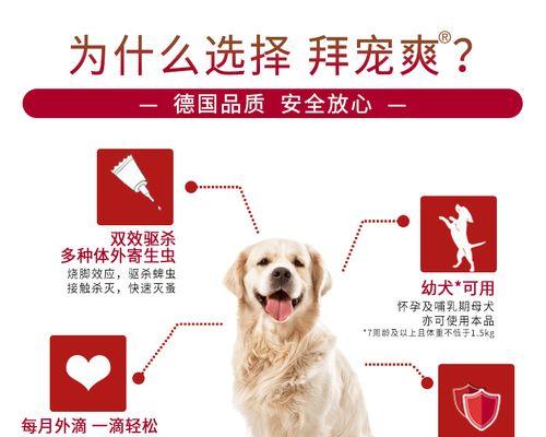如何保护宠物健康——罗福梗幼犬驱虫指南（以驱虫为主，预防疾病，让幼犬健康成长）