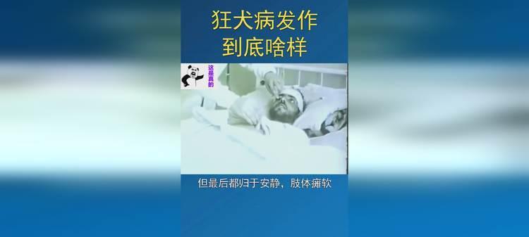 宠物狂犬病（全面了解宠物狂犬病，保障你和家人的健康）