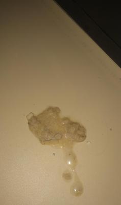 猫咪呕吐黄水泡沫黏液拉稀的原因和治疗方法（宠物猫出现呕吐拉稀的危险信号，如何识别并应对？）