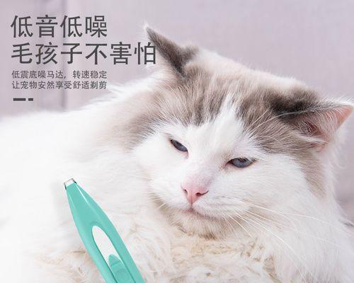 猫咪修毛（为什么要给猫咪修毛？如何做到专业又安全？）