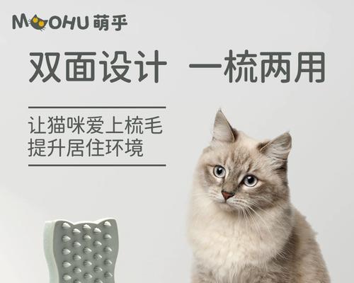 猫咪洗澡注意事项（宠物爱护必读）