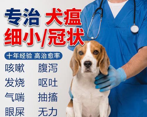 细小防治，必备药物一览（保护宠物，从细节做起）