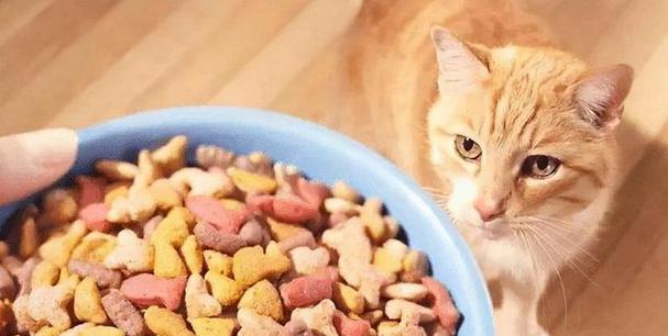 猫咪产后喂食指南（科学喂养保宝宝健康）