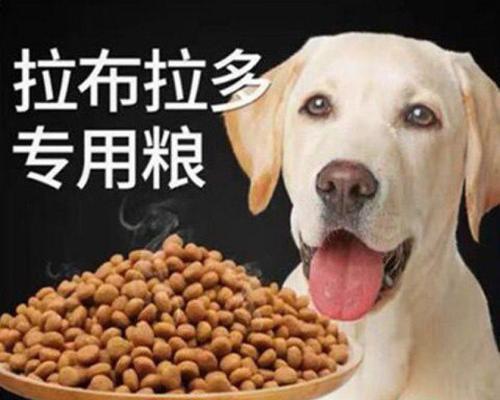 十个月拉布拉多的狗粮选择指南（如何给十个月大的拉布拉多选择合适的狗粮，让它健康成长）
