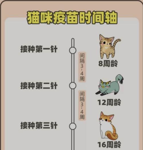 英种斑点兔的饲养方法（让你的兔子健康成长）