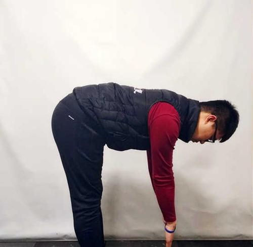 以丝毛梗站立训练提高宠物站立能力（让宠物成为人见人爱的萌物，从站立训练开始！）