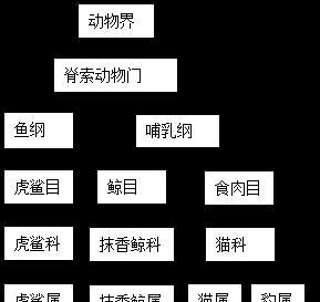 长耳跳鼠的全面饲养指南（打造适合长耳跳鼠生存的家园）