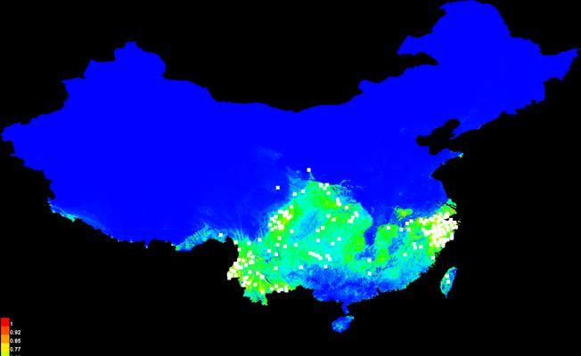了解黑腹绒鼠的生活习性与饲养技巧（了解黑腹绒鼠的生活习性与饲养技巧）