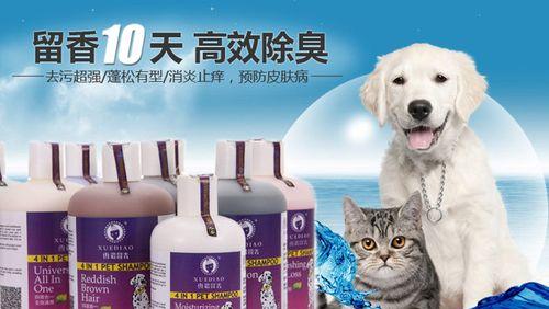 如何给比熊洗澡？（宠物的清洁与护理）