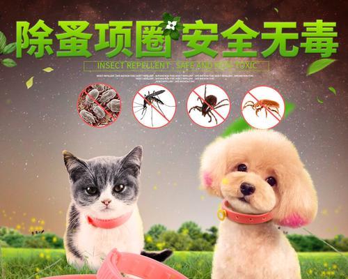 如何给宠物防治跳蚤？（从预防到治疗，全面保护宠物健康）