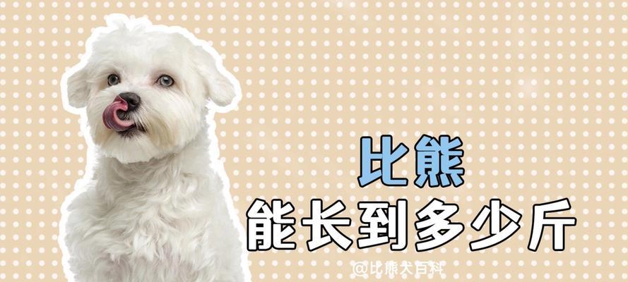 比熊宠物能否吃西瓜？（探究比熊是否适合食用西瓜的原因和注意事项）