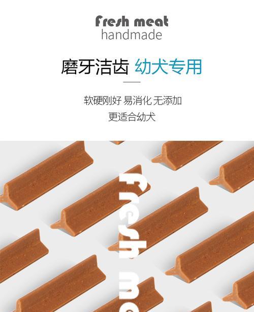 如何缓解柯基犬口臭问题（措施详解，让你的爱宠闻起来清新自然）