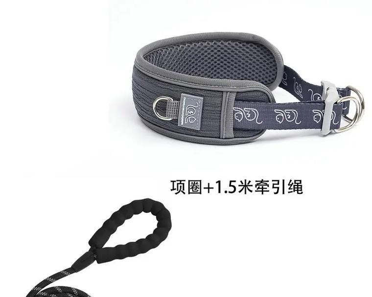 狗狗项圈的注意事项（确保宠物安全，从正确佩戴项圈开始）