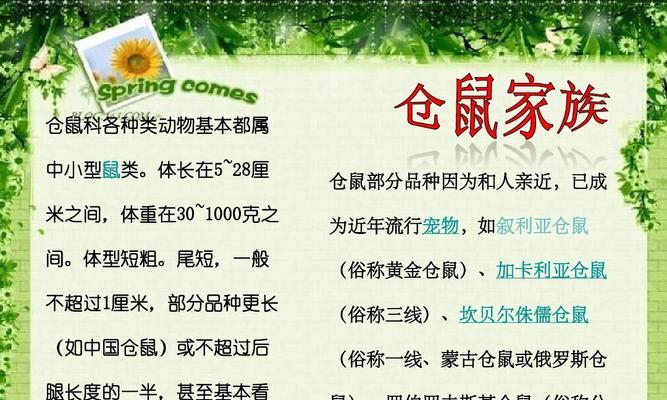 如何正确饲养大仓鼠？（分享大仓鼠饲养技巧，让你的宠物健康成长）