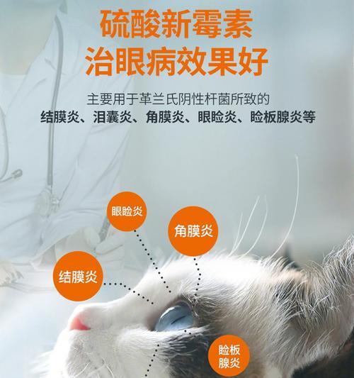 如何选择适合猫咪的眼药水（了解猫咪眼疾、选择合适的眼药水）