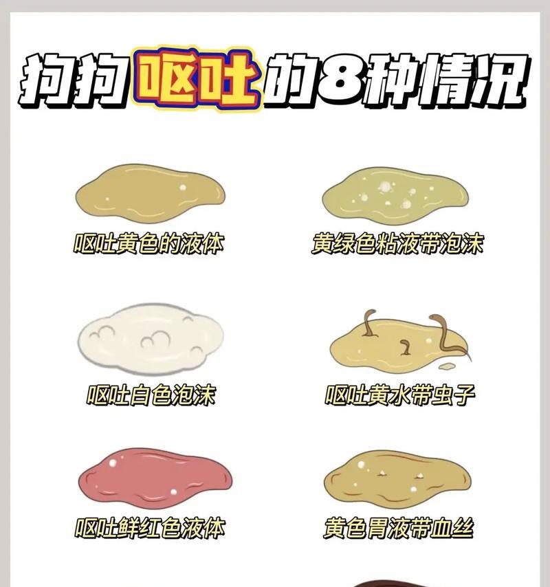 狗狗不吃又拉稀怎么办？用药是关键！（狗狗拉稀不吃食物怎么办？哪些药物最有效？）