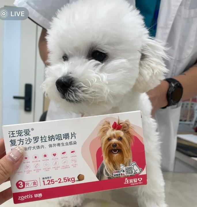 小狗打驱虫针，该不该疼？（了解小狗打驱虫针的疼痛问题，保护它的健康）