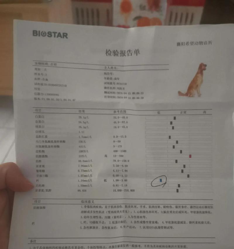 狗狗为什么总是大便干燥？（如何改善狗狗的大便干燥问题？）