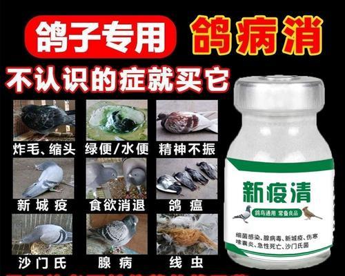 如何解决以巴哥犬掉毛问题（一份详细的以宠物为主的护理指南）