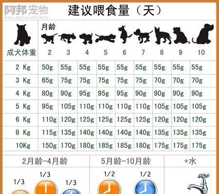 粗颈龟的饲养方法（打造舒适的家园，细心照顾营养全面，让粗颈龟健康成长）