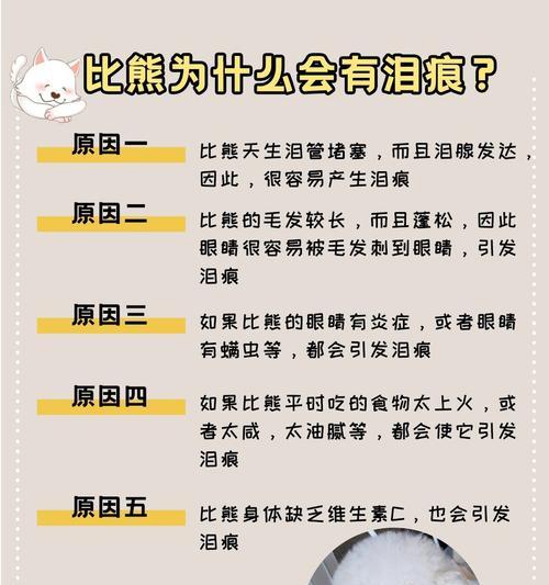 比熊是否可以吃西瓜？（以宠物为主，探究比熊能否享用夏日水果）