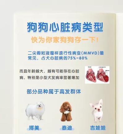 如何训练狗狗吃药？（以宠物为主，用心训练；训练方法，成功关键）