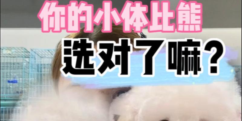 比熊犬如何分辨（了解宠物主人需掌握的重要技巧）