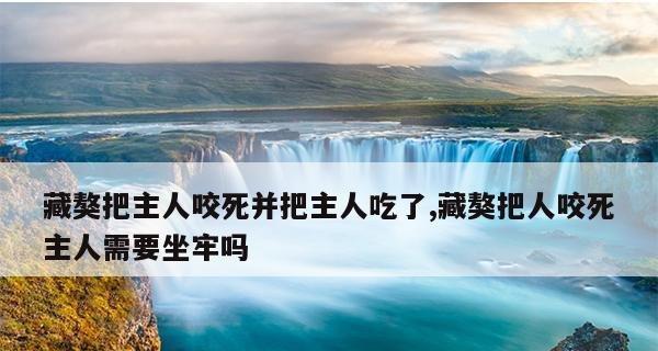 如何让藏獒听话？（训练技巧与注意事项）