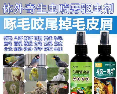 如何解决以巴哥犬掉毛问题（宠物养护之道，掌握正确方法）