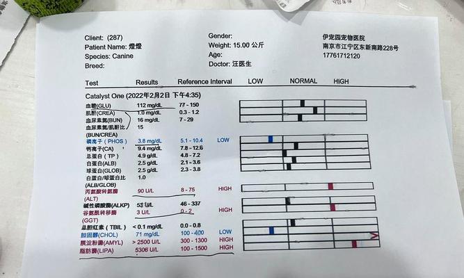 狗狗胰腺炎的原因与恢复时间（探究狗狗胰腺炎的成因及康复时间，了解如何保护宠物健康）