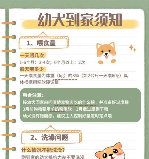40天的小狗怎么喂食？（新手必看）（了解合理喂食，让宝宝健康成长！）