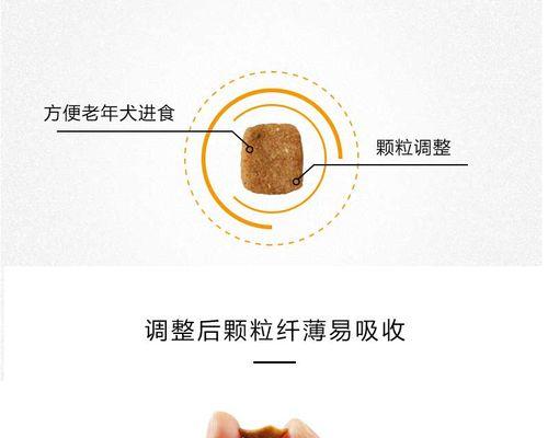 中老年犬喂食的十条建议（为你的中老年犬提供健康的饮食）