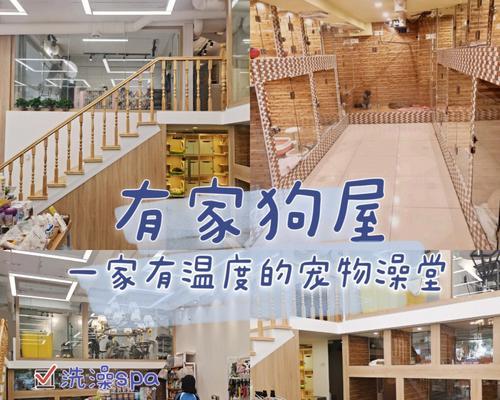 室内温度对宠物的影响（宠物如何适应不同的室内温度环境）