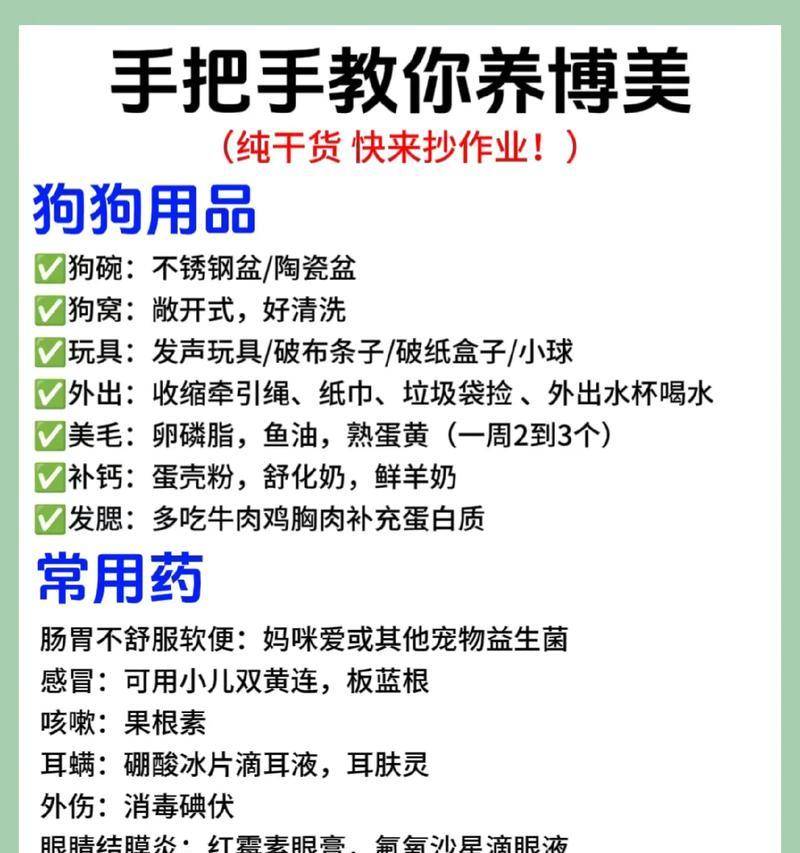 探寻博美犬价格，血统高低如何影响？（解析博美犬价格的背后，了解血统对其价值的影响）