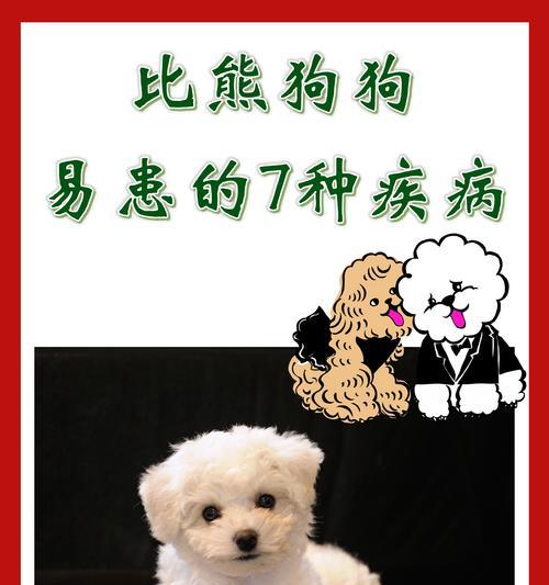 如何确定比熊犬的饮食量？（以什么为依据确定狗狗一顿要吃多少？）