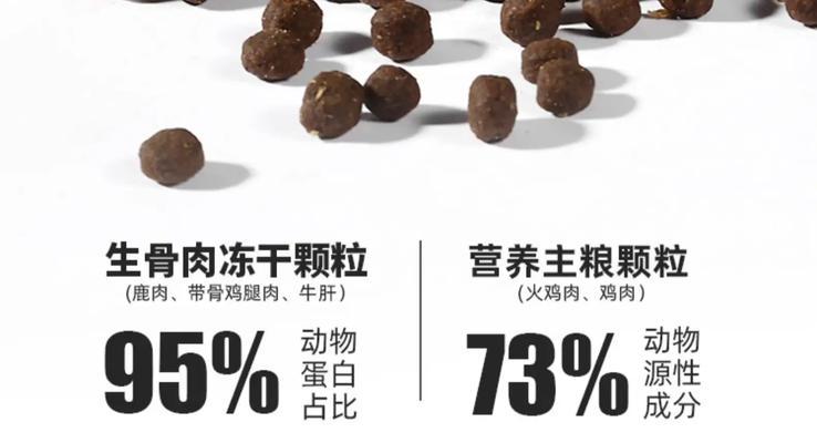 成年泰迪每天应该摄入多少狗粮？（科学喂养，宠物健康）