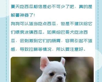 狗狗的饮食需求（探索狗狗的饮食模式，确保健康成长）