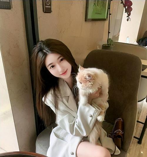 完美伴侣（小姐姐们的宠物首选，这些猫咪最适合你！）