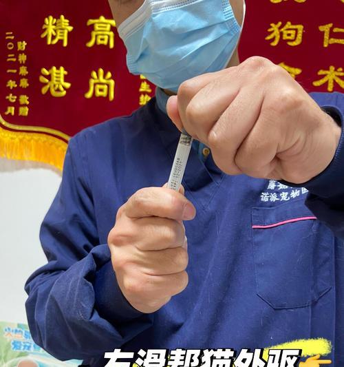 宠物驱虫误区揭秘（别再犯这些宠物驱虫的错误了！）