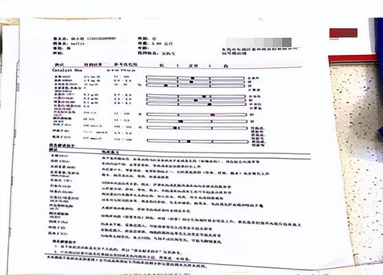 狗狗细小的诊断和判断方法（了解如何判断和诊断狗狗是否感染了细小病毒）