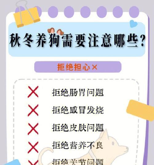 狗狗的溜出时间和注意事项（带出去溜的最佳时机和必须注意的事项）