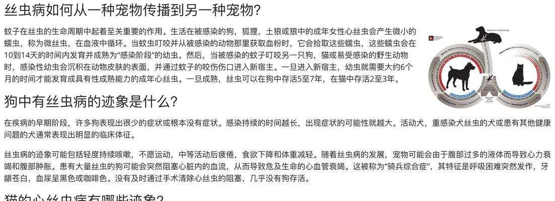 狗狗生产需要注意的事项（如何协助狗狗顺利生产）