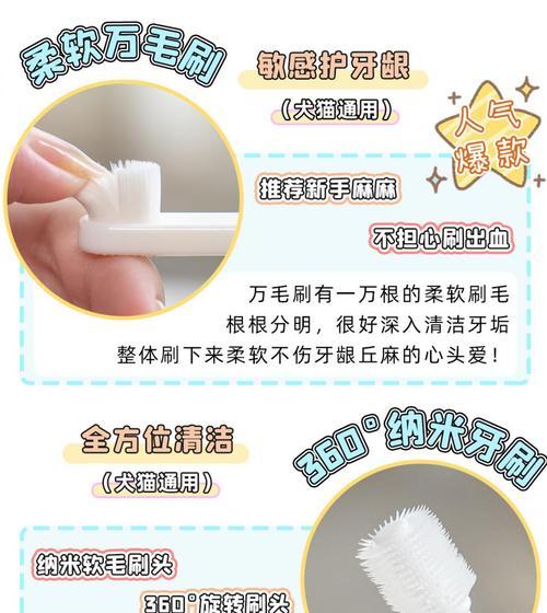 狗狗的口腔健康是至关重要的，多大的狗狗可以开始刷牙？（狗狗刷牙的好处及相关建议）