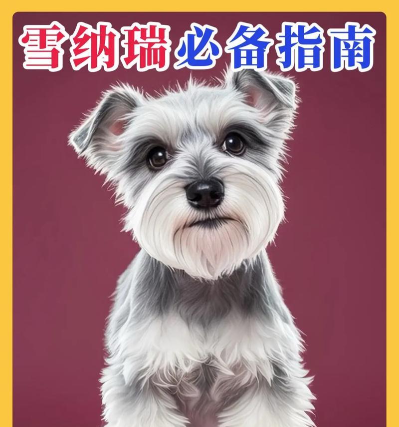 以雪耐瑞的四种错误饲养方式，你犯过吗？（了解这些错误，给你的宠物更好的生活）