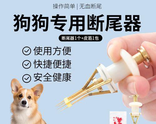 断尾可以预防肛门细菌感染（泰迪为什么需要断尾？断尾对狗的健康有何益处？）