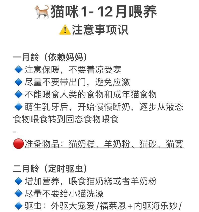 幼猫饲养全攻略——从新手到养猫达人（不同阶段的幼猫饲养方法与技巧，让你成为专业的猫妈猫爸）